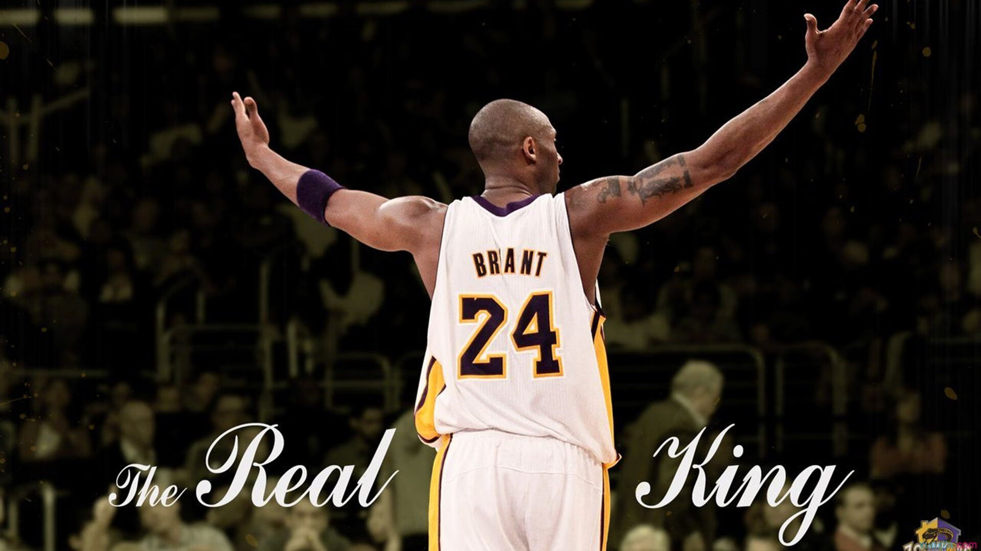 拉恩：凭借速度和爆发力，他在全黑队反击战术中总能制造奇迹，拉恩vs费雷拉